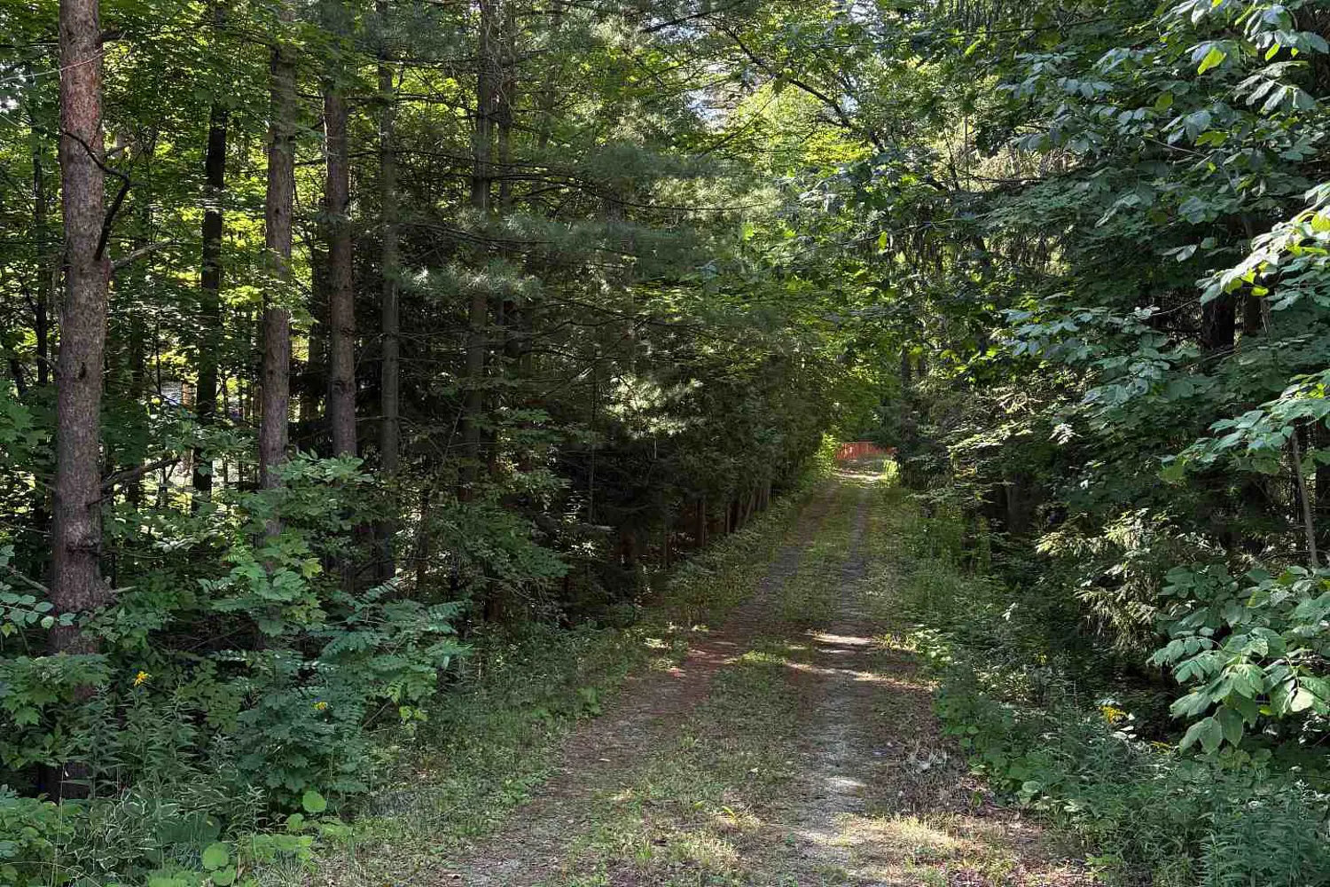 Additional image 7 of 4035 Aurora Road