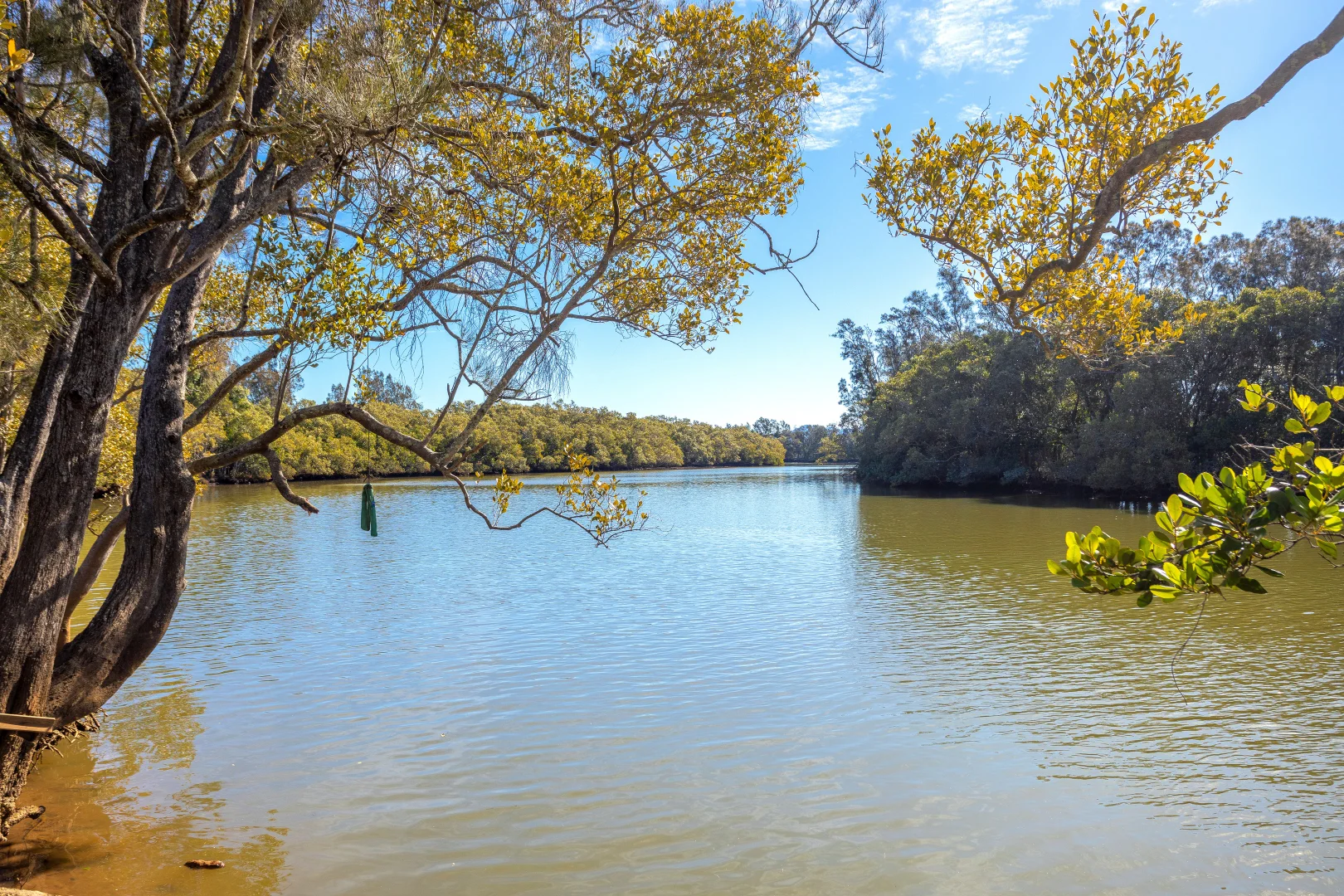 Additional image 5 of 118 North Moto Road, Moto NSW 2426