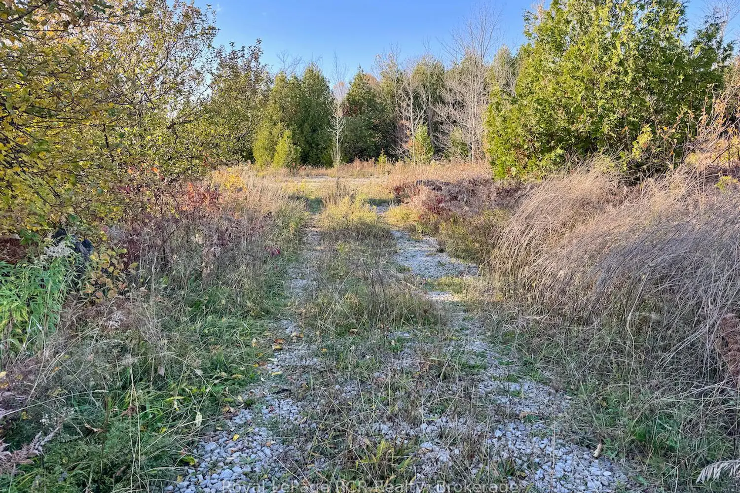 Additional image 5 of 4887 Hwy 6 Highway