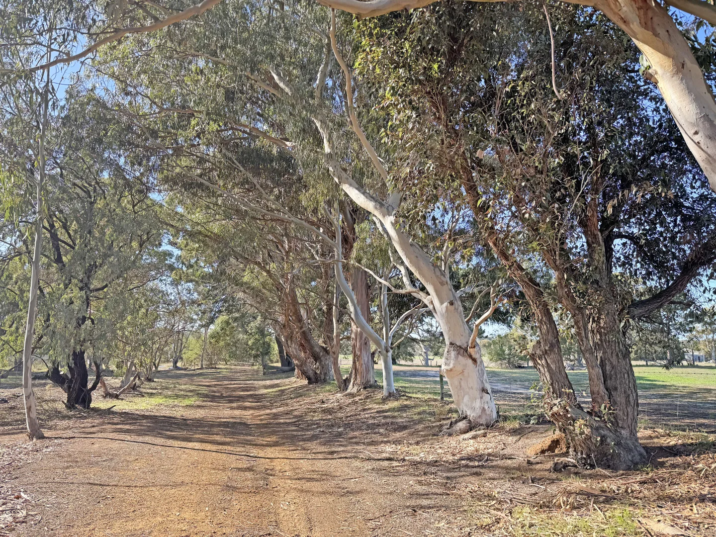 Additional image 36 of Lot 34 Fisheries Road, Myrup WA 6450