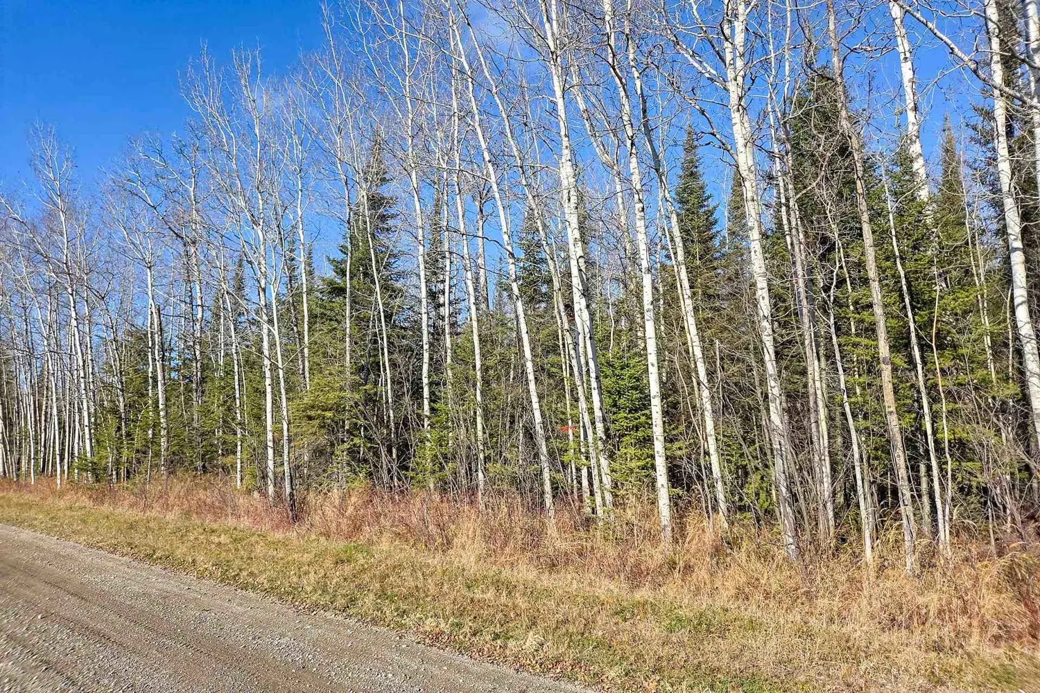 Additional image 3 of Pt 4 Cabin Road