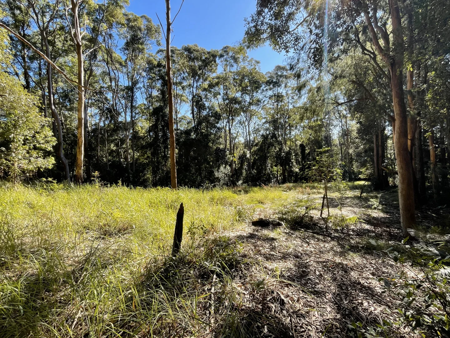 Additional image 13 of 20 James Norton Road, Bensville NSW 2251