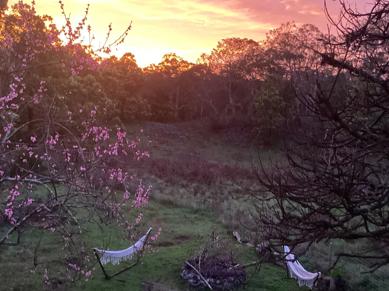 Additional image 13 of Carpendeit VIC 3260