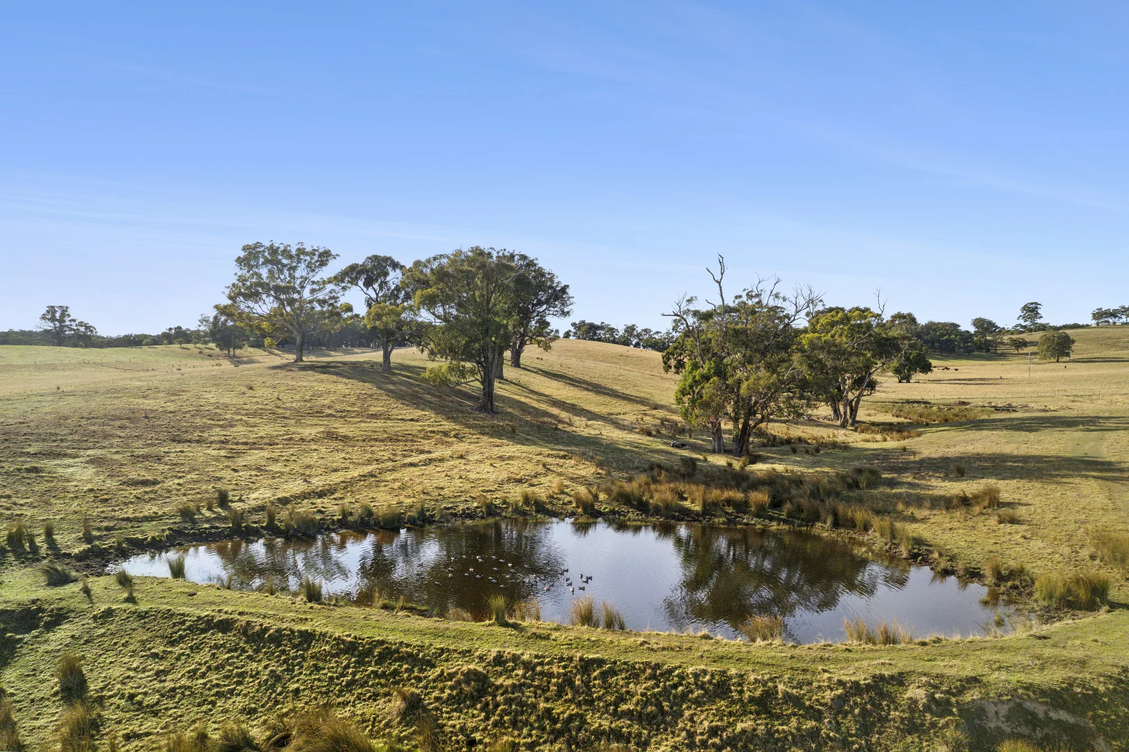 Additional image 4 of 1/104 Holcombe Road, Glenlyon VIC 3461
