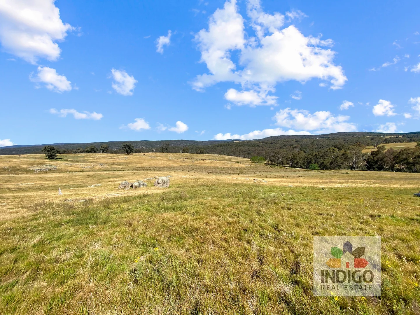 Additional image 5 of 181 Mcfeeters Road, Beechworth VIC 3747