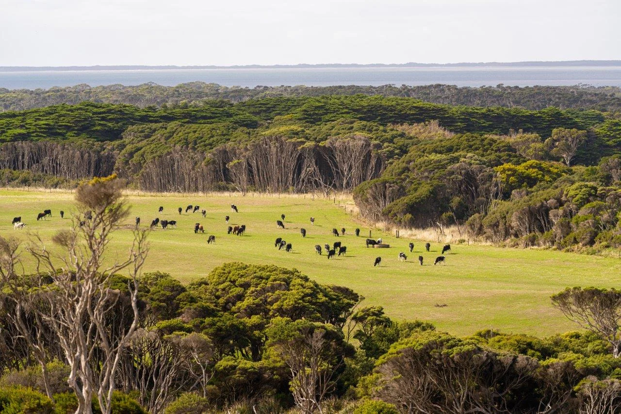 Additional image 23 of 1907 Woolnorth Road, Woolnorth TAS 7330