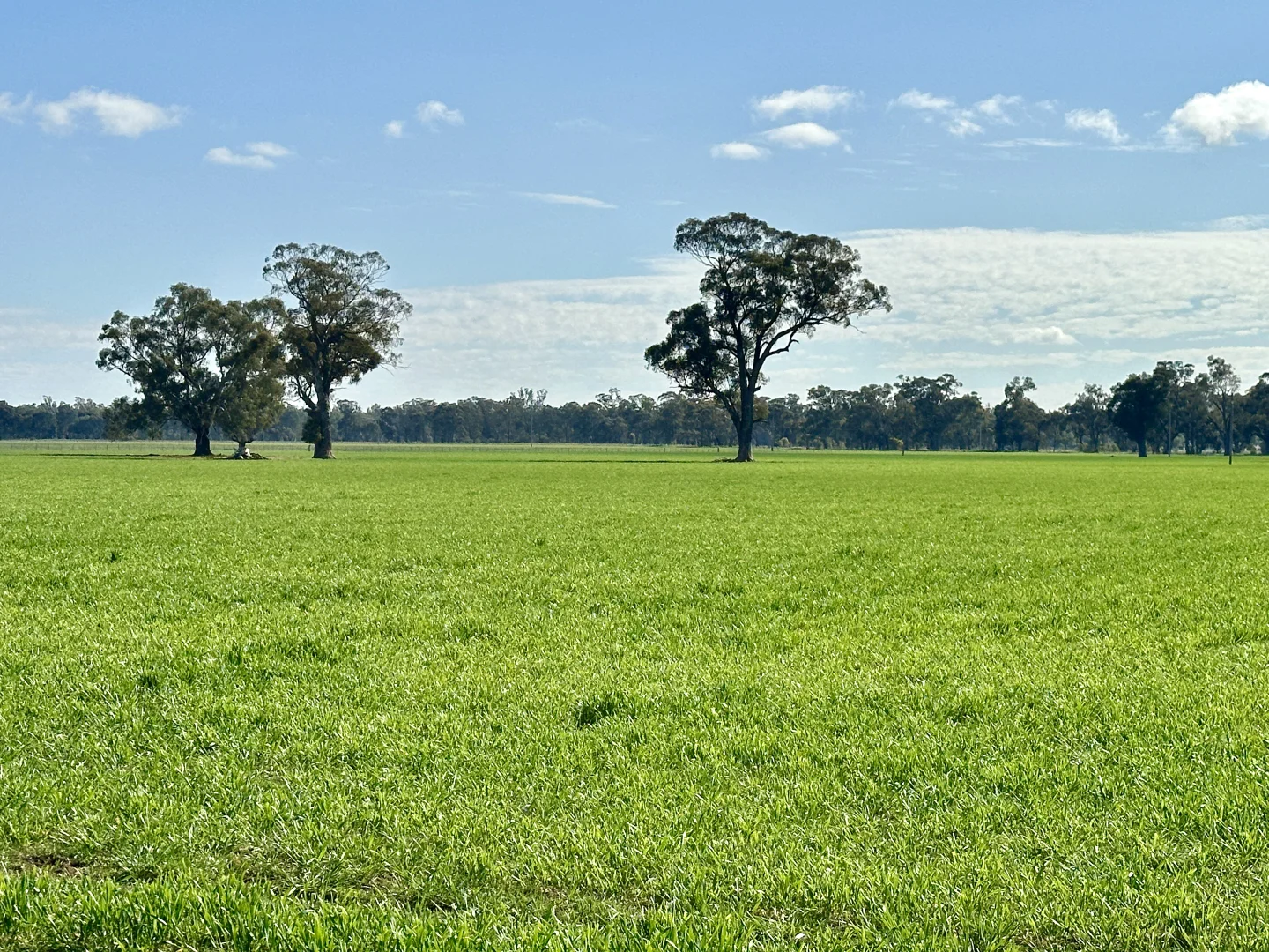 Additional image 9 of 2791 Sturt Highway, Wagga Wagga NSW 2650