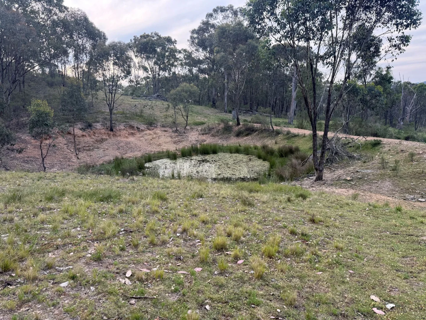 Additional image 8 of 1883 Queens Pinch Road, Mudgee NSW 2850