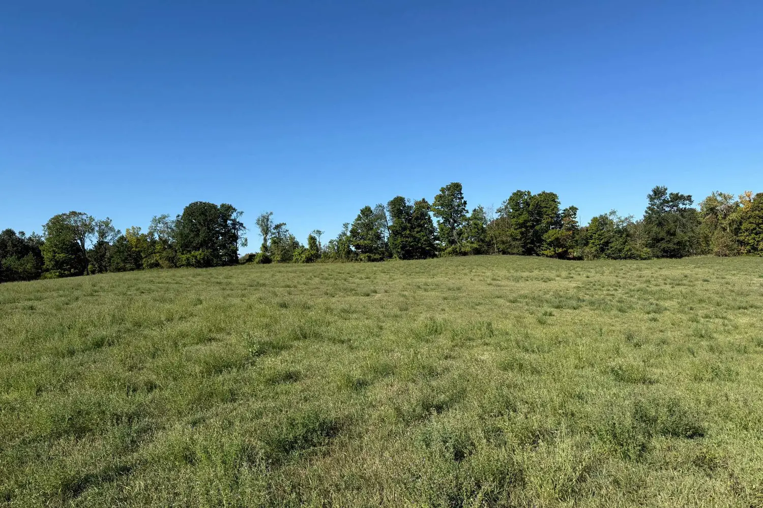 Additional image 9 of 0 Deloro Road