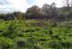 Additional image 9 of Maesquarre Road, Ammanford SA18