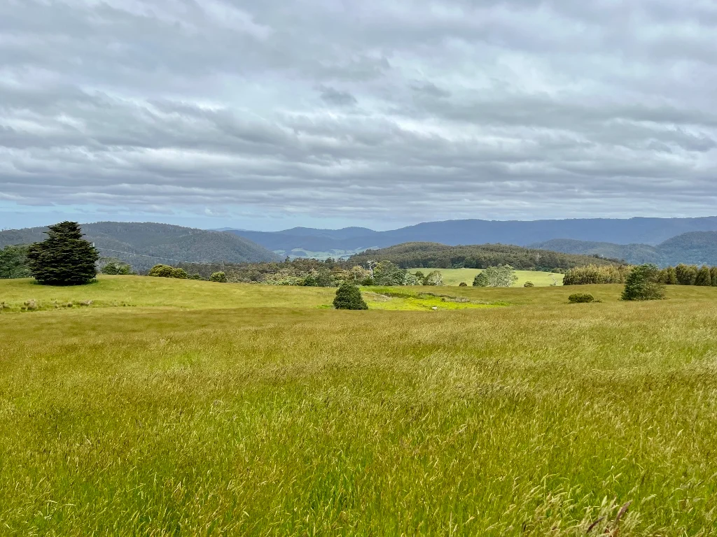 Additional image 7 of 29731 Tasman Highway, Weldborough TAS 7264
