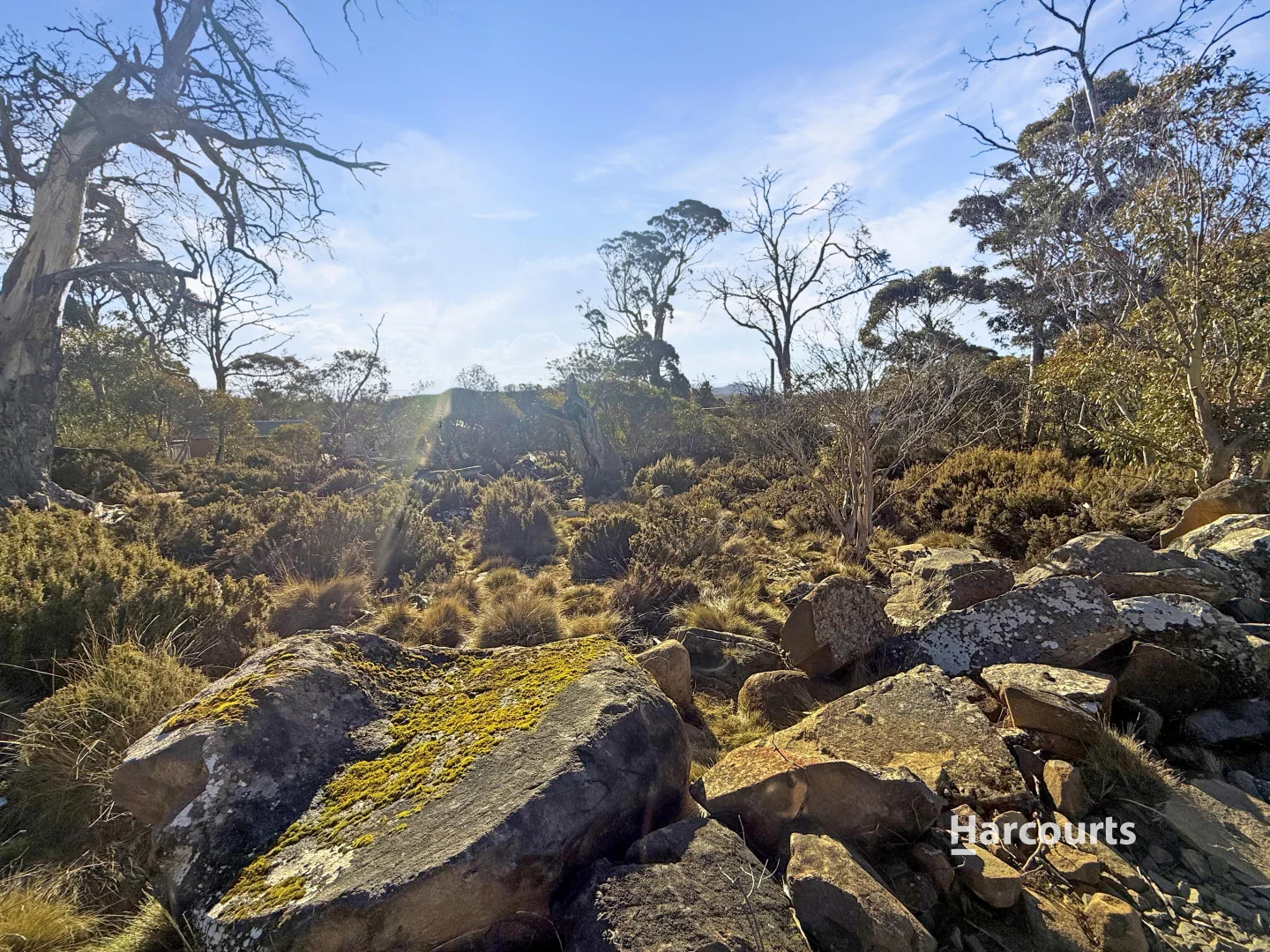 Additional image 4 of 20 Lochiel Drive, Miena TAS 7030