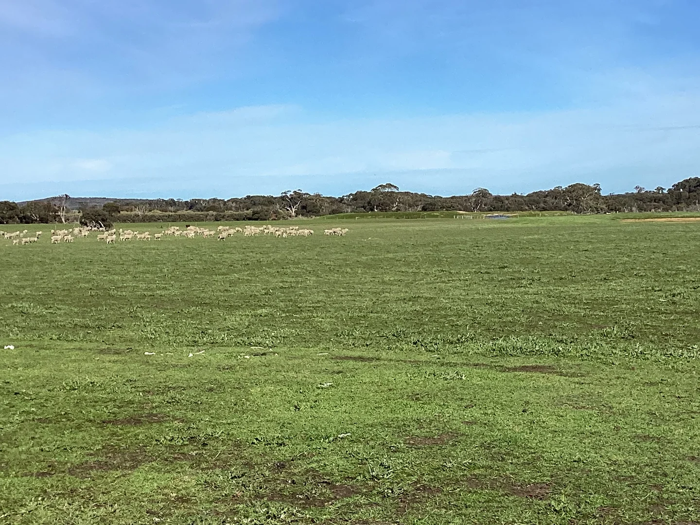 Additional image 15 of Lot 101 Schaefer Road, Seddon SA 5223