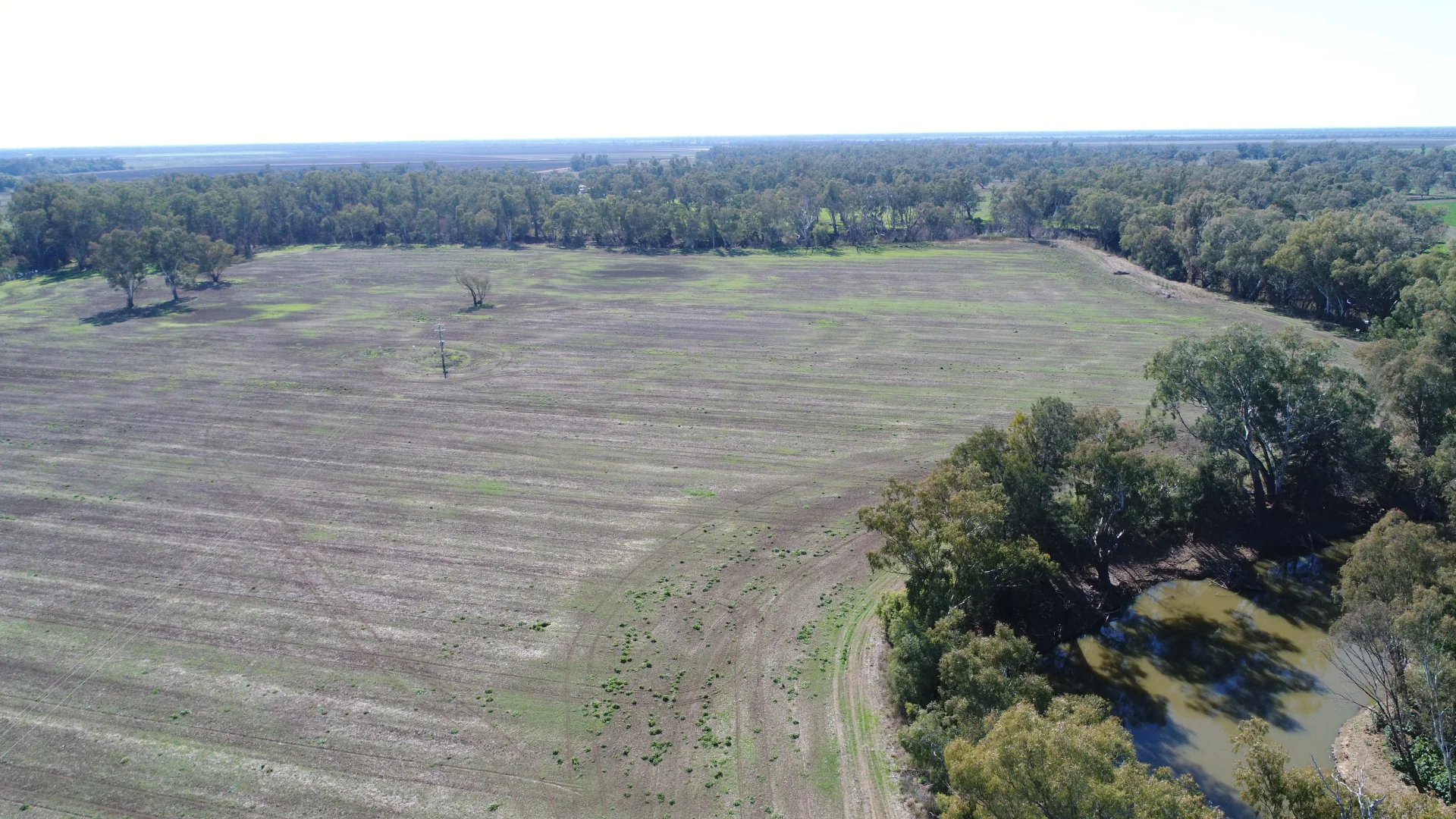 Additional image 11 of Warren NSW 2824