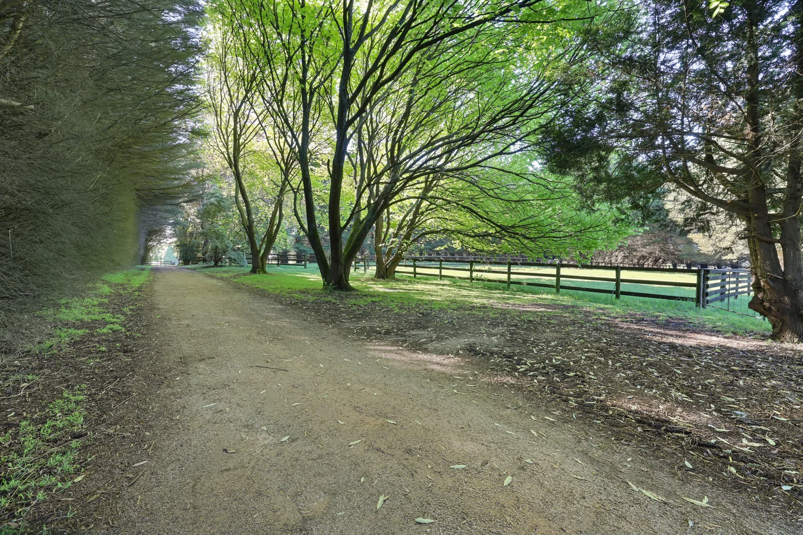 Additional image 25 of 935 Lardners Track, Warragul VIC 3820