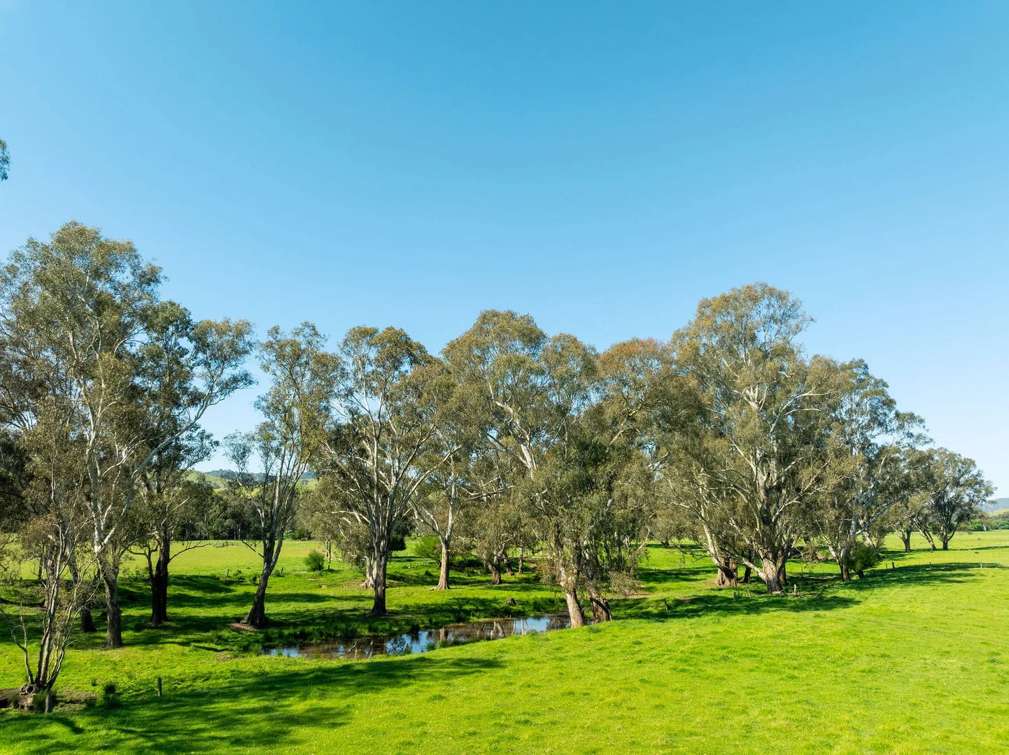 Additional image 20 of 1240 Goulburn Valley Highway, Thornton VIC 3712