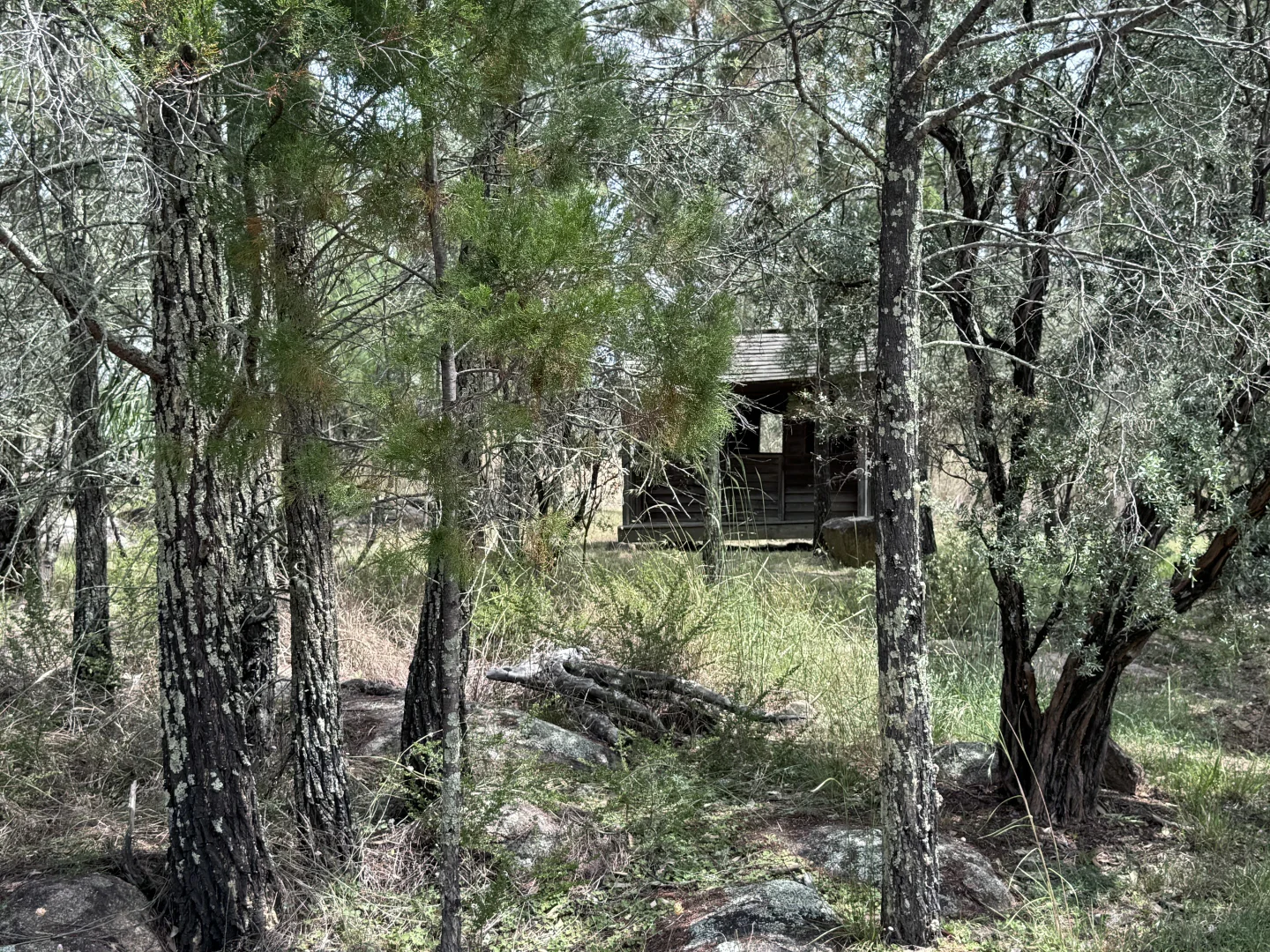 Additional image 32 of 3910 Bundarra Rd, Inverell NSW 2360