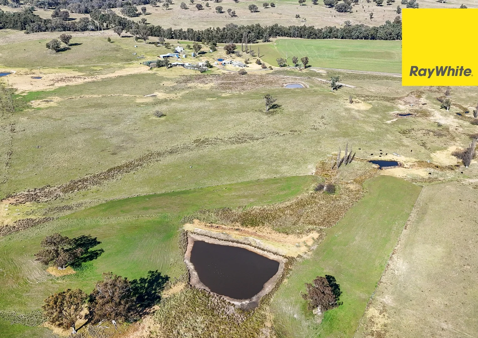 Additional image 29 of 'Bimbadeen' Dry Creek Road, Bundarra NSW 2359