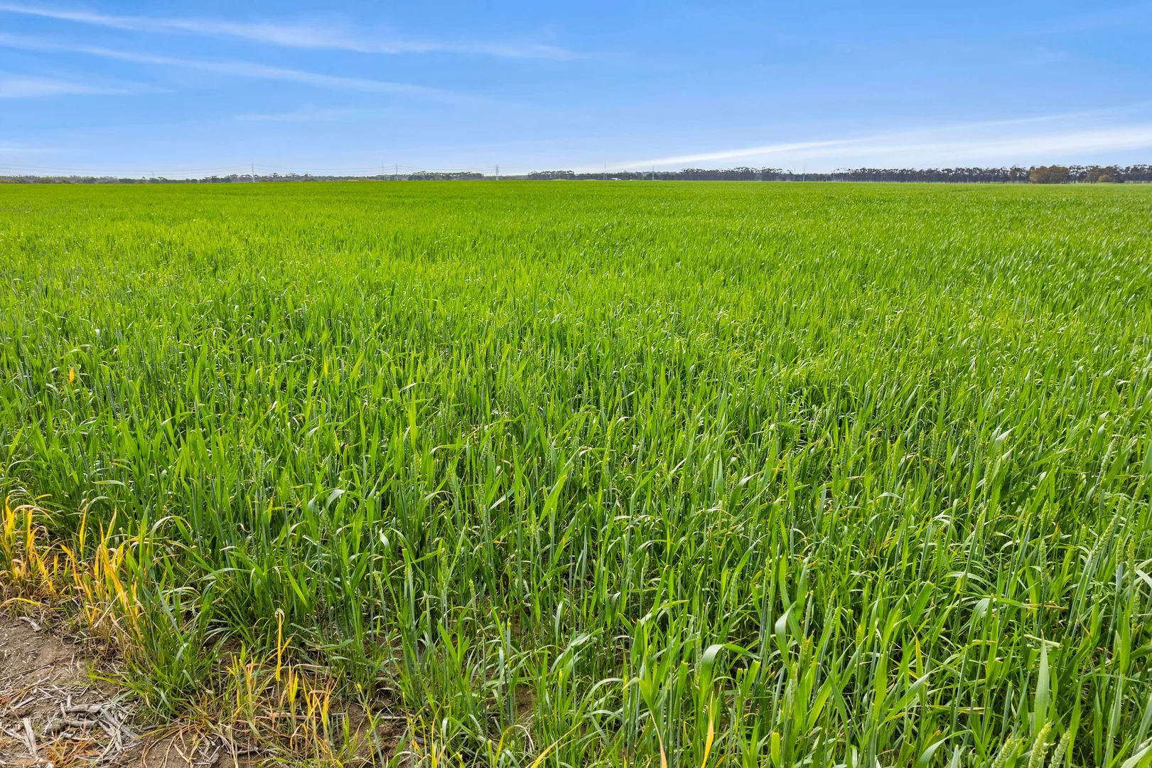 Additional image 13 of ELYS Four Tree Road, Lismore VIC 3324