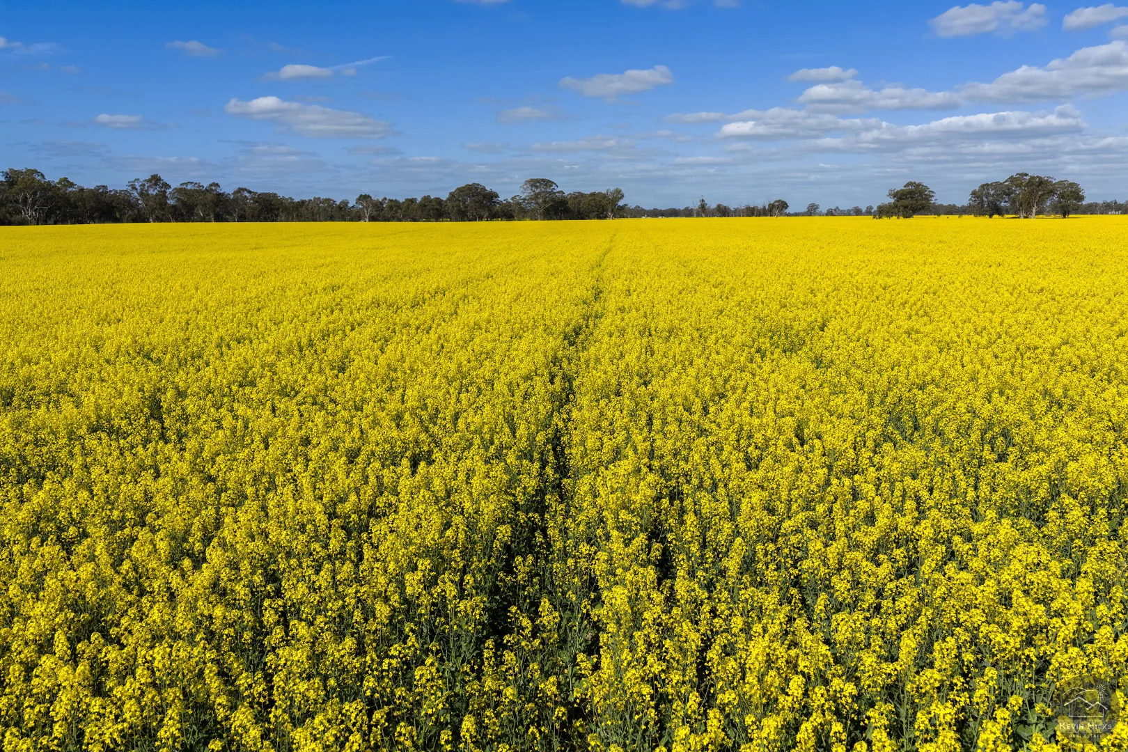 Additional image 7 of 445 Kellys Road, Numurkah VIC 3636