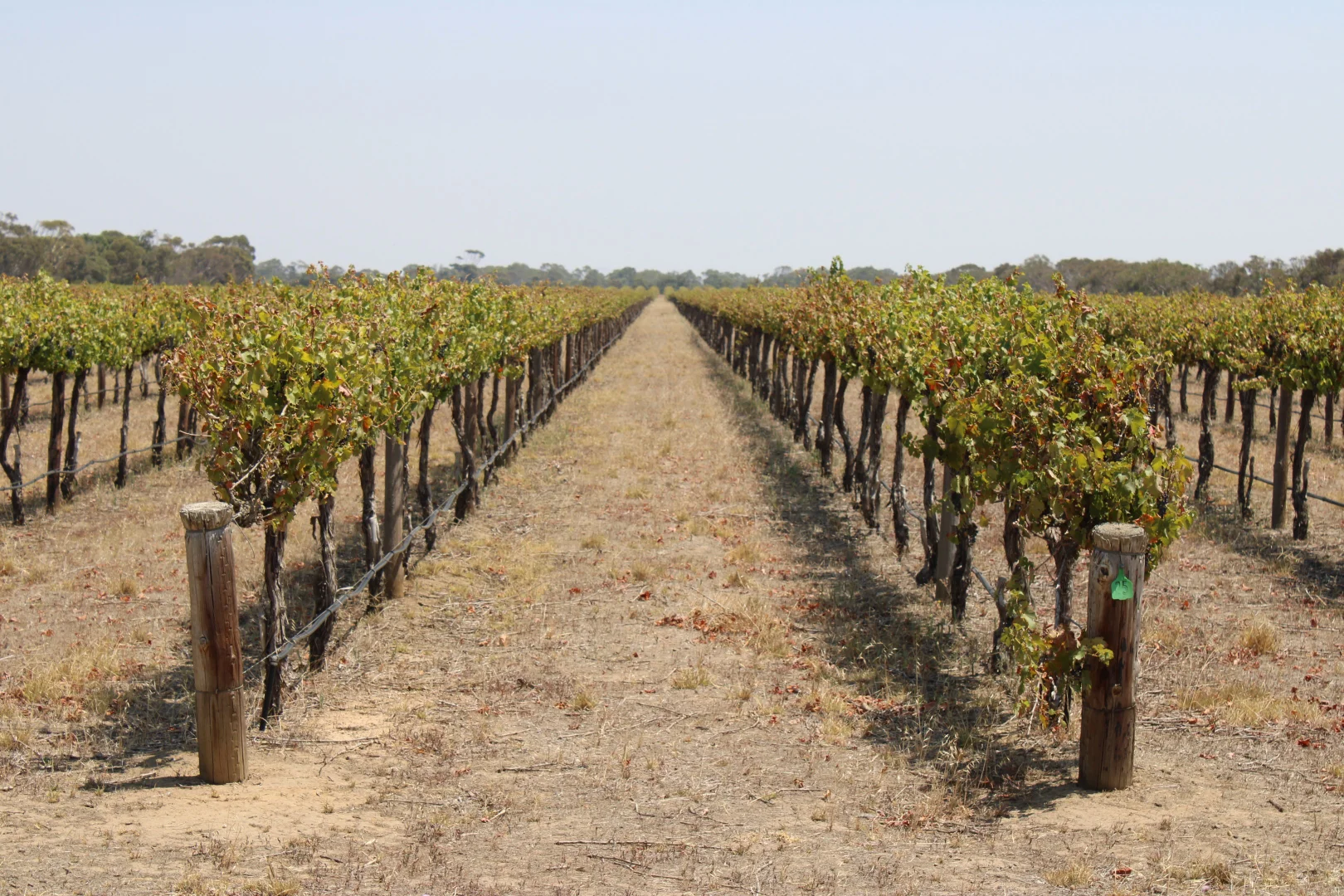 Additional image 16 of 359 Chapel Road, Lake Plains SA 5255
