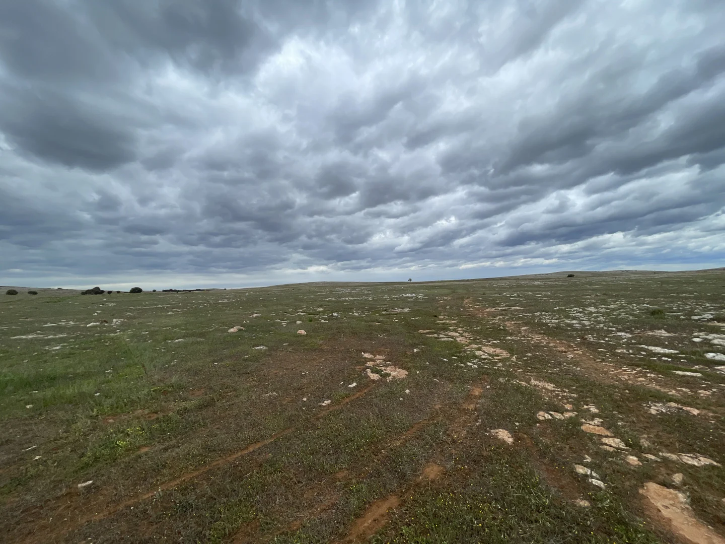 Additional image 2 of 1 Section 217, 217 & 219, Bramfield SA 5670