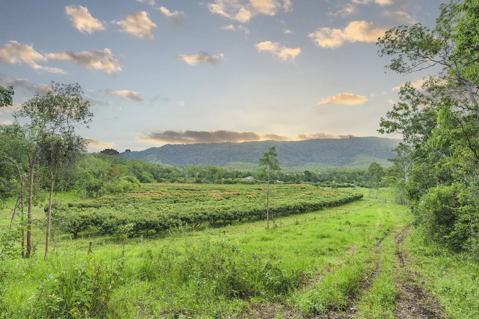 Additional image 5 of 24 Petersen Road, Koumala QLD 4738