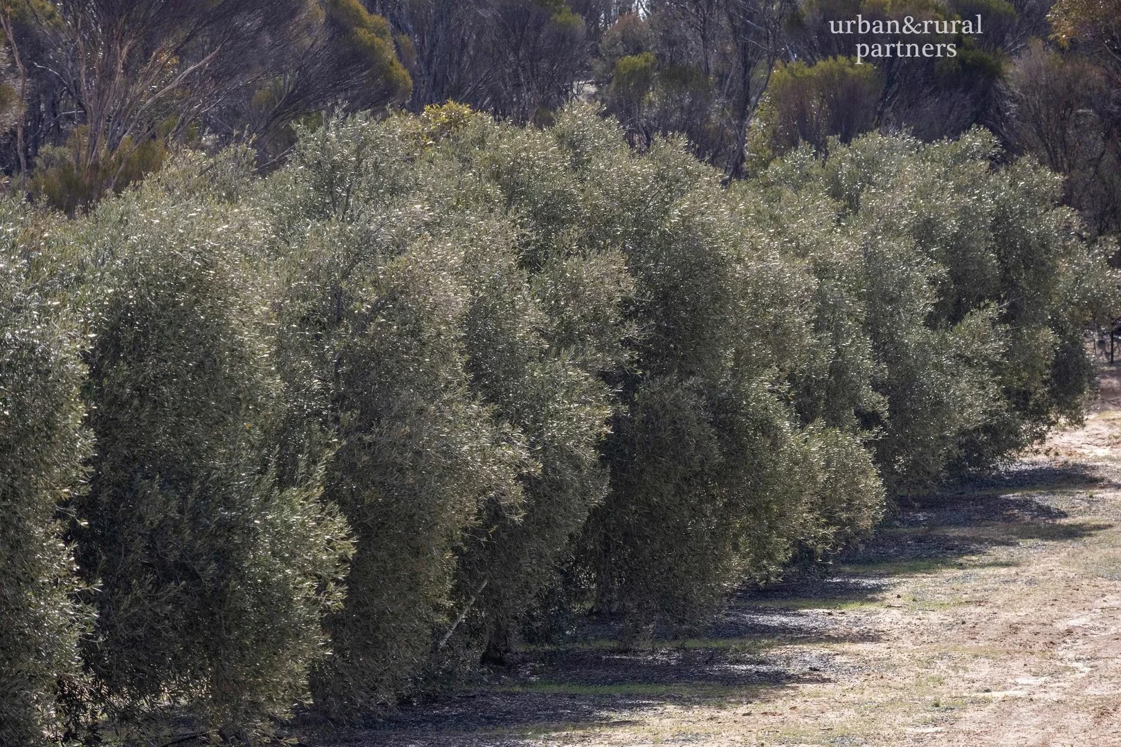 1575 Kringin Road, Karte SA 5304