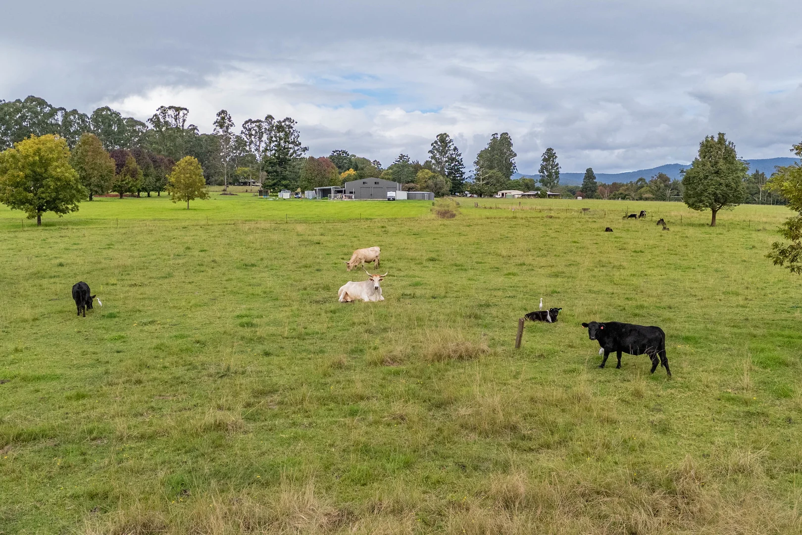 Additional image 6 of 5 Jenkinson Place, Nana Glen NSW 2450