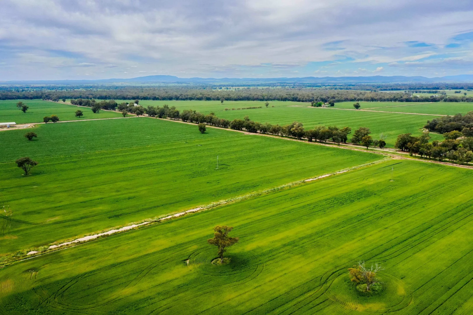 Additional image 7 of 69 Ercildoune Lane South, Forbes NSW 2871