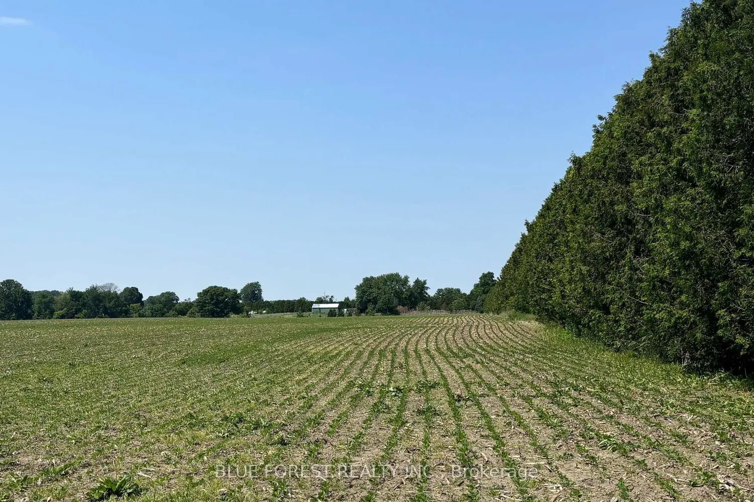 Additional image 3 of 0 Downie Road