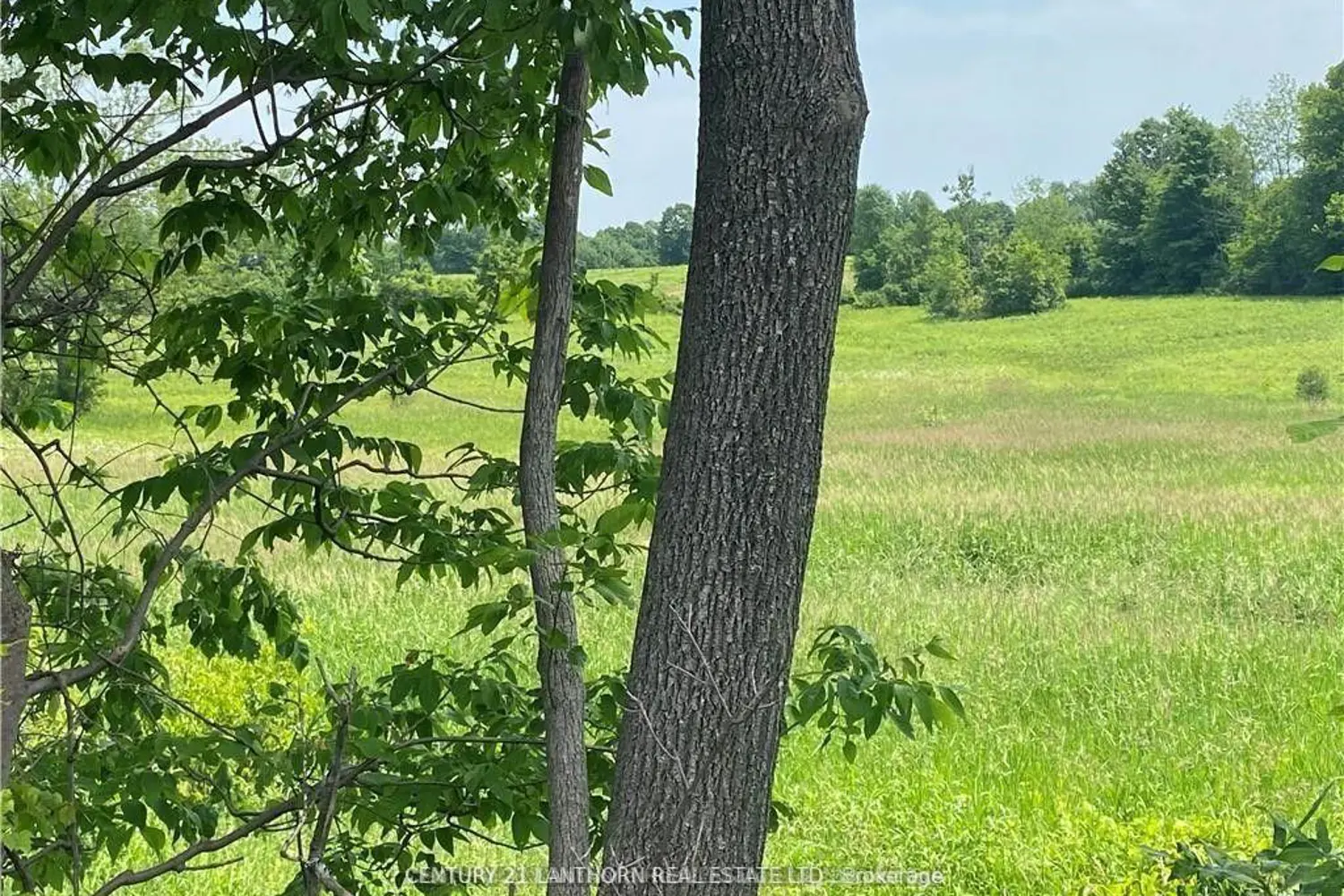 Additional image 6 of 0 Hwy 62