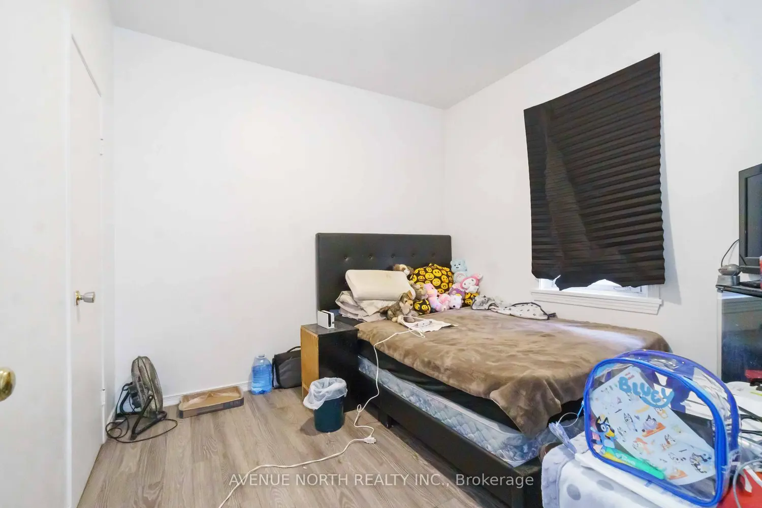 Additional image 5 of 259 Hamilton Street