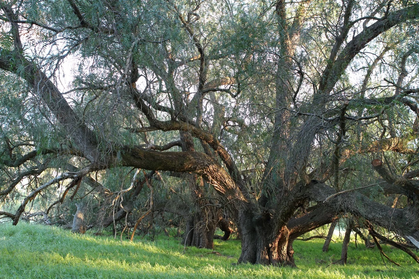 Additional image 9 of Lot/1 Corrys Mill Road, Picola West VIC 3639