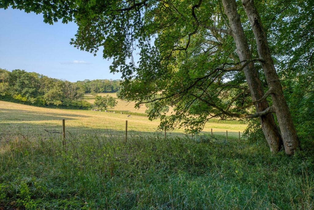 Additional image 40 of Manor house with circa 26 acres, a mile from Wells