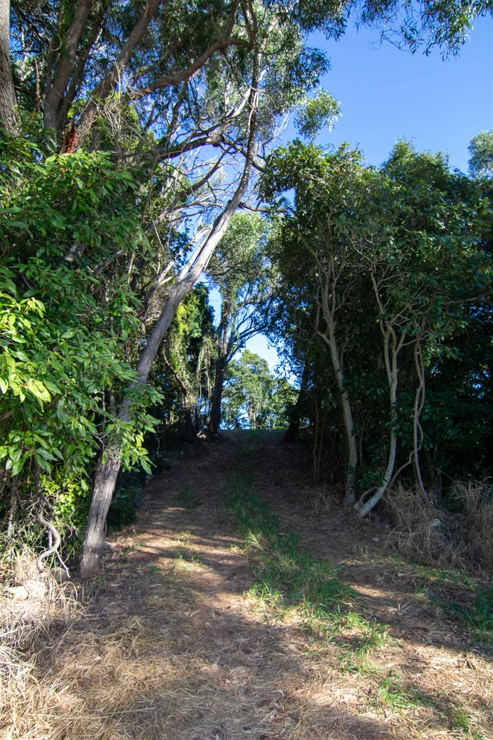 Additional image 27 of 123 Lutter Road, Charlwood QLD 4309