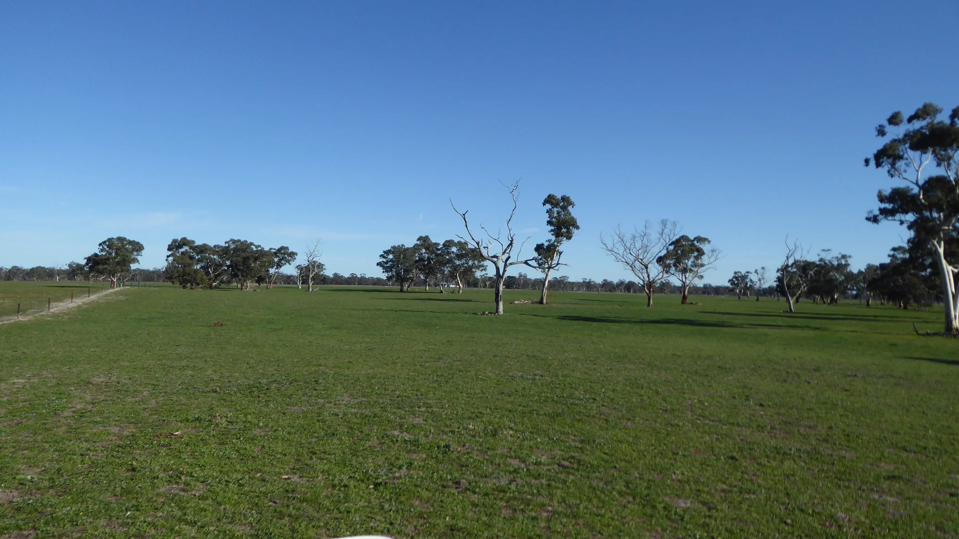 Additional image 13 of 2147 Bangham Road, Frances SA 5262