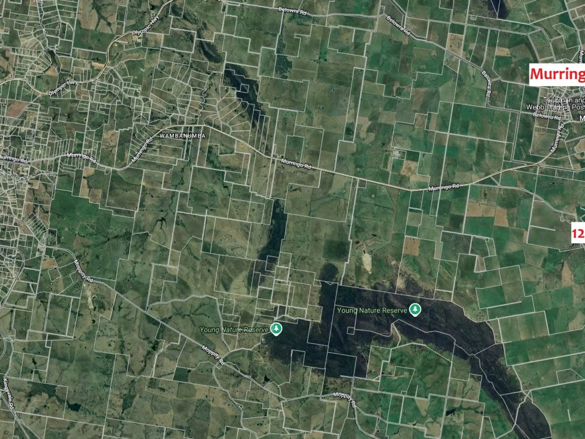 Additional image 4 of 127 Calabash Road, Murringo, via, Young NSW 2594