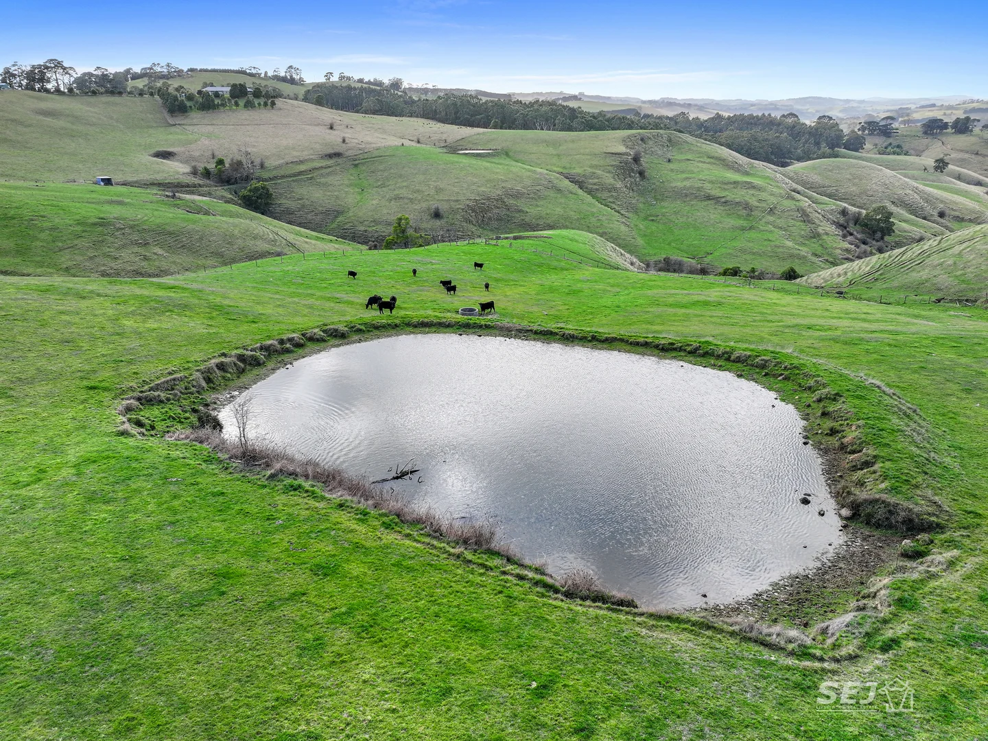 Additional image 7 of 710 Korumburra - Warragul Road, Ranceby VIC 3951