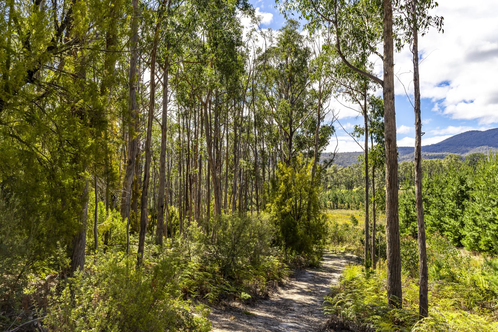 Additional image 9 of Lot 5 Harveys Hill Close, Deep Bay TAS 7112