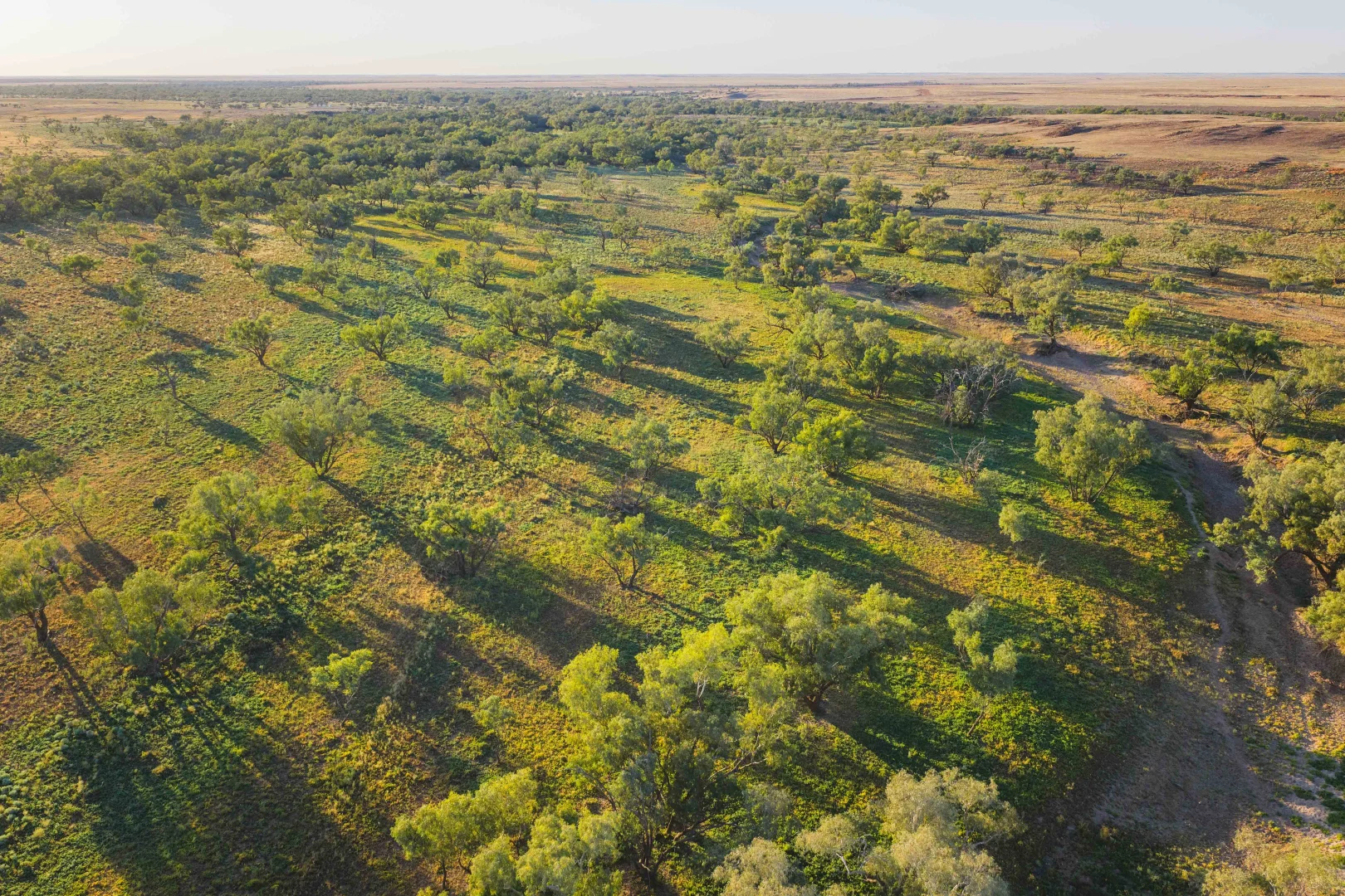 Additional image 11 of Durham QLD 4492