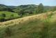 Additional image 37 of Llanfyllin, Powys, SY22