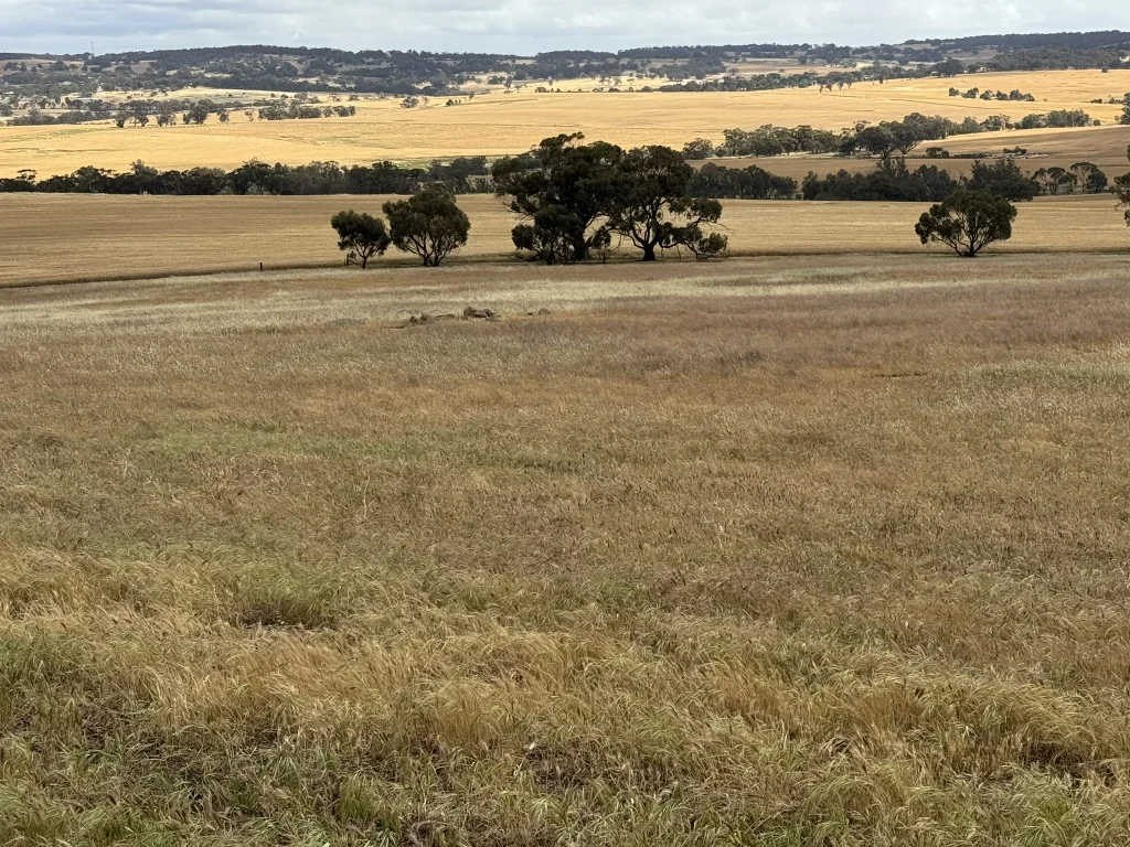 Additional image 9 of Lot 12 Young Road, Gwambygine WA 6302