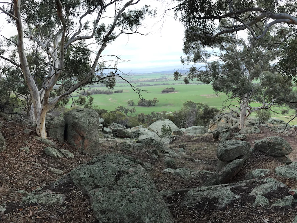 Lot 12 Young Road, Gwambygine WA 6302