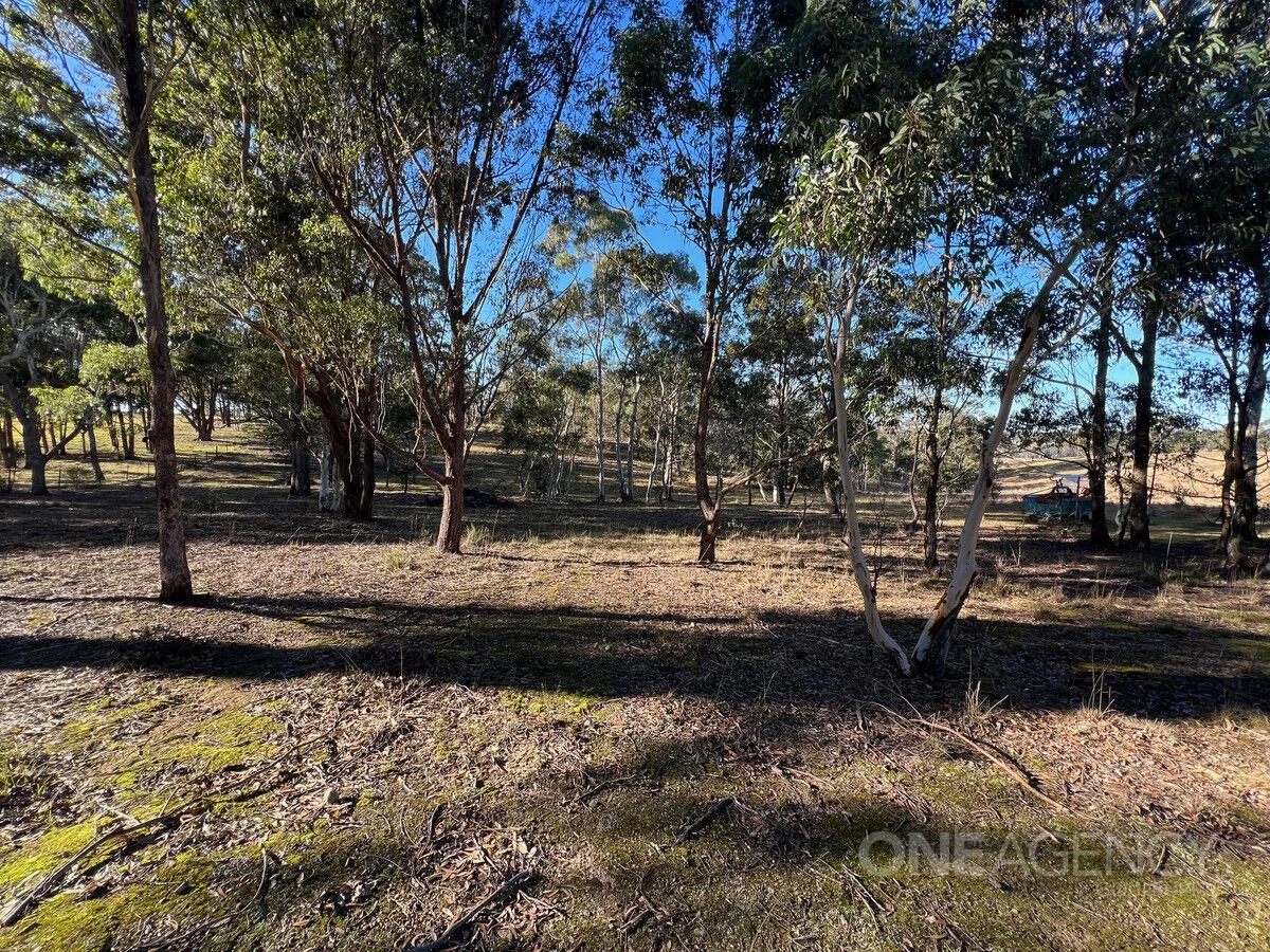 Additional image 3 of 67 Sawpit Lane, Bungonia NSW 2580