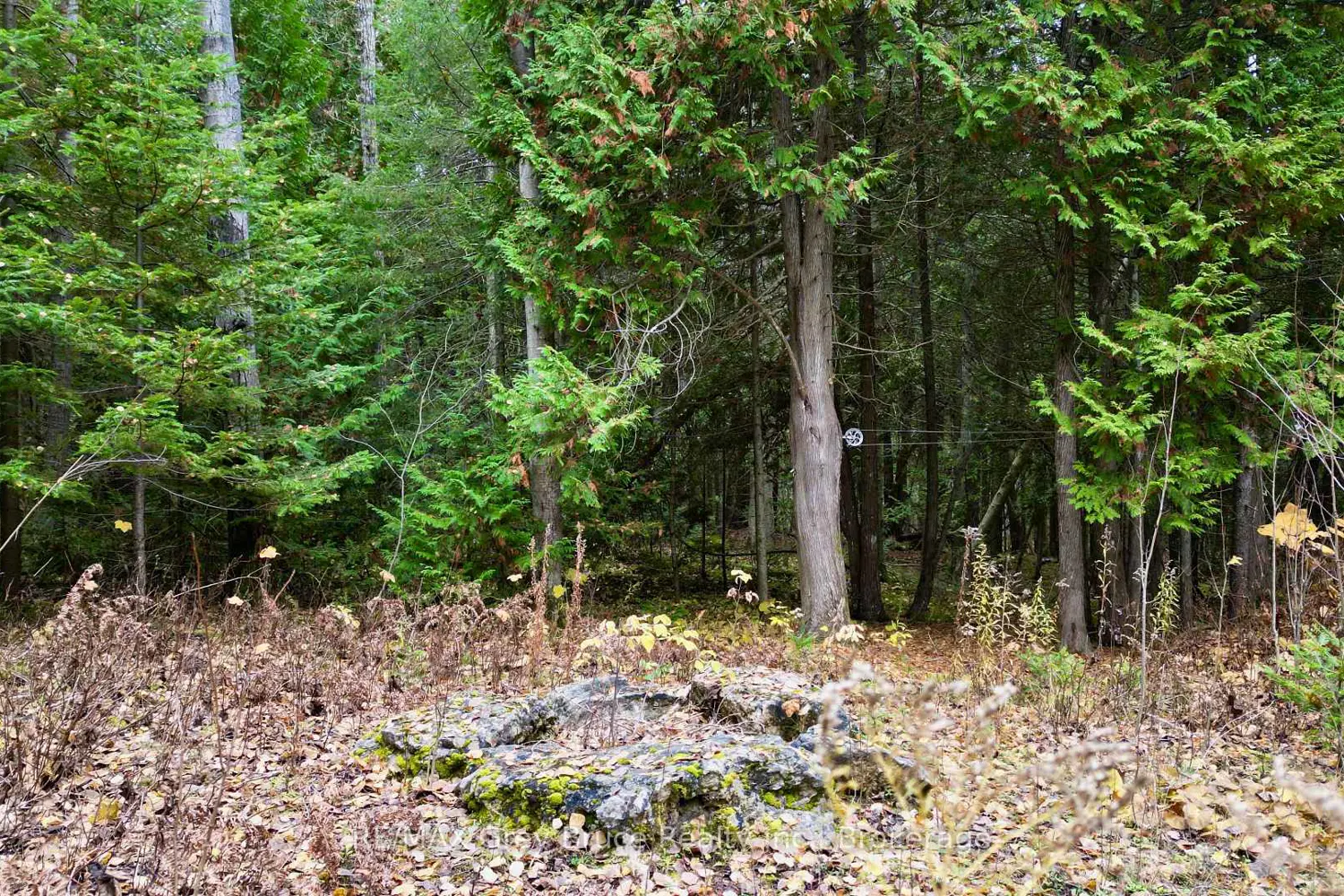 Additional image 5 of 44 Stokes Bay Road