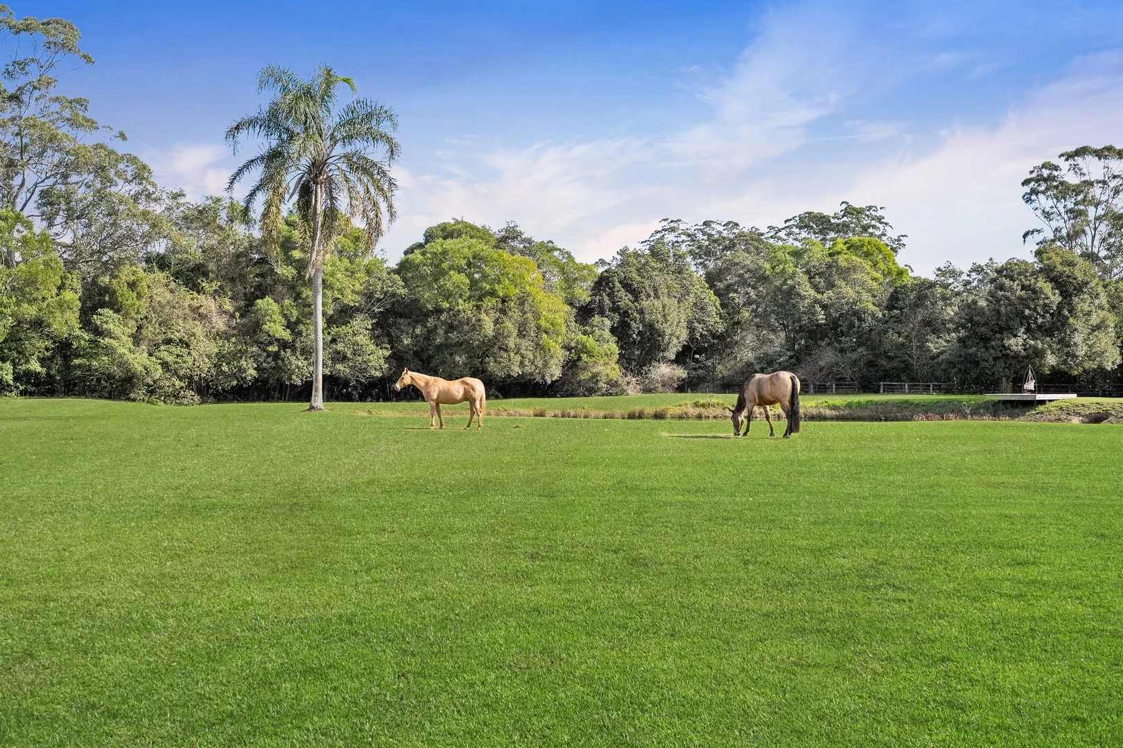 Additional image 3 of 413 Yarramalong Road, Wyong Creek NSW 2259