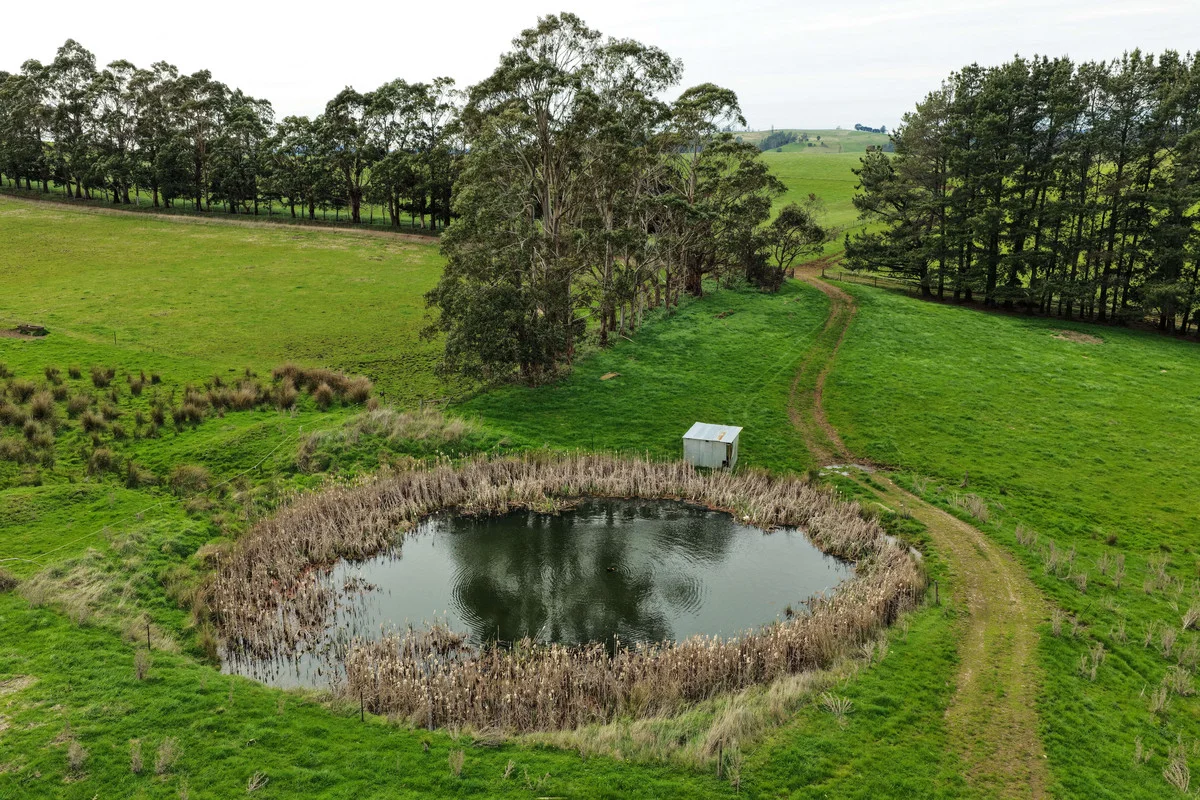 Additional image 4 of 261 Weegena Road, Kimberley TAS 7304