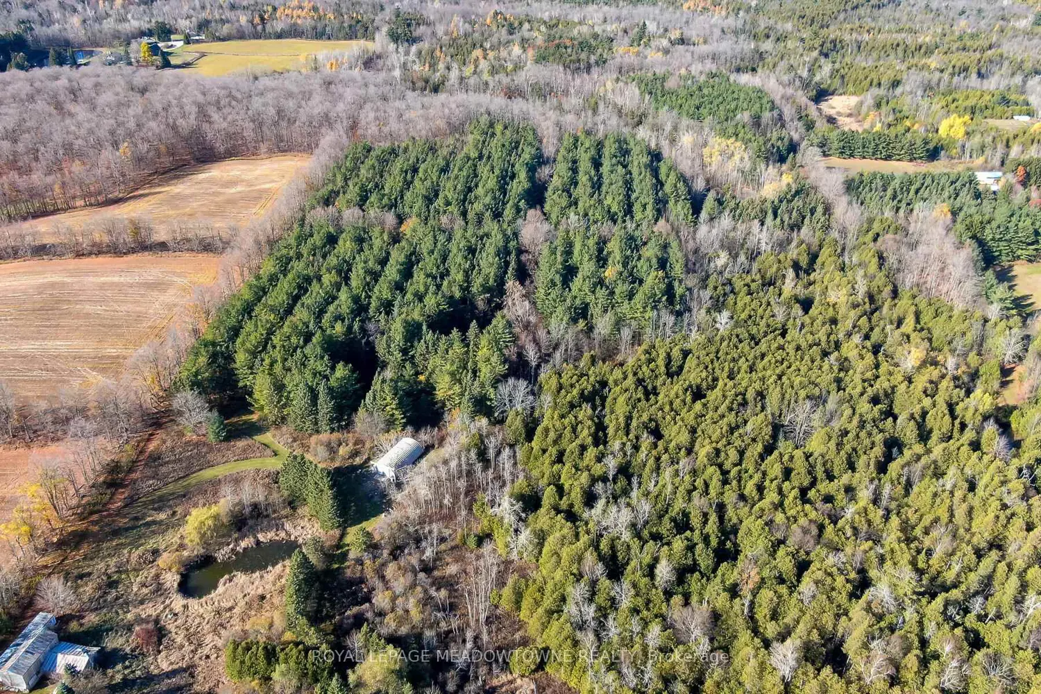 Additional image 4 of 9328 Wellington 50 Road