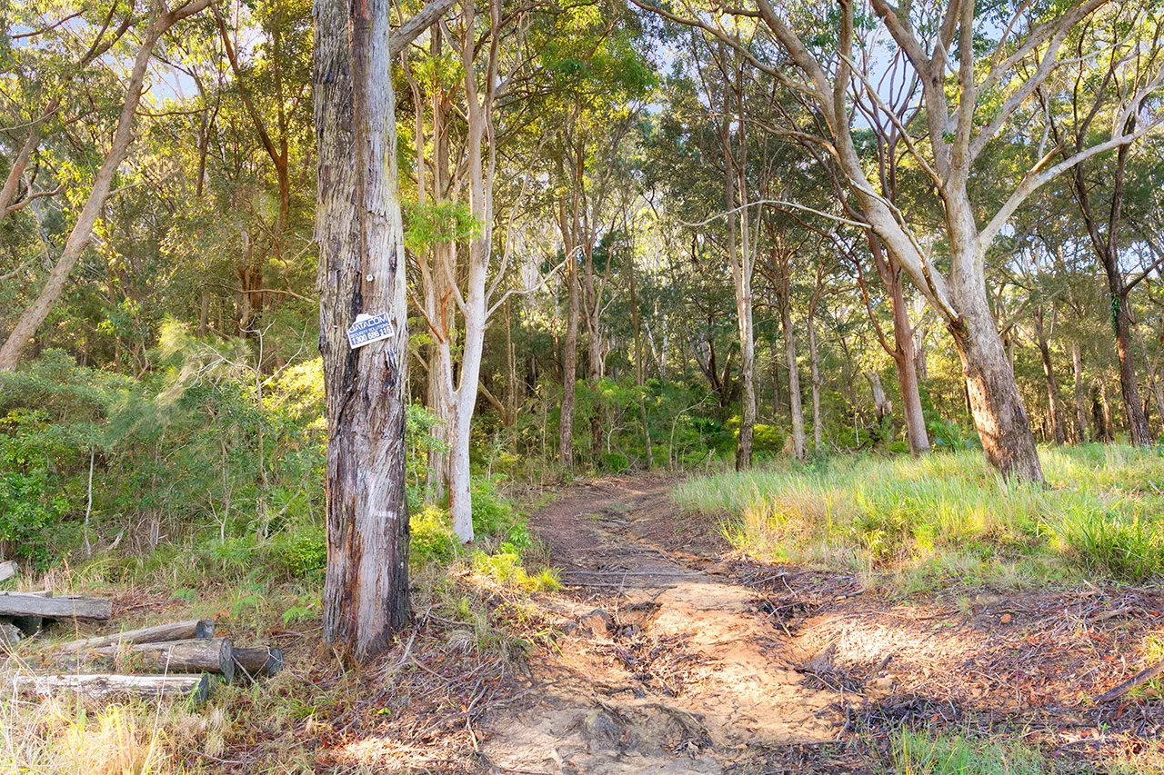 Additional image 5 of 20 James Norton Road, Bensville NSW 2251